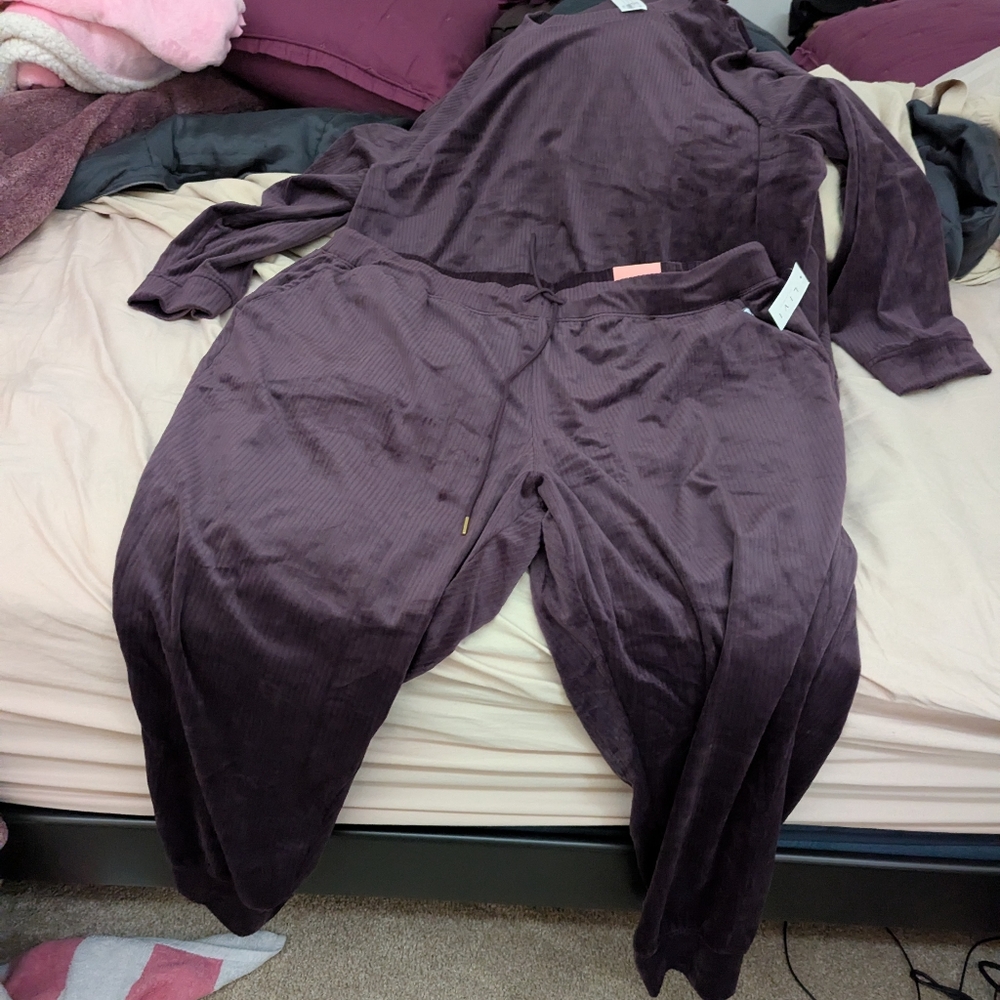 LIVI Ribbed Velour Jogger - Picture 3 of 7
